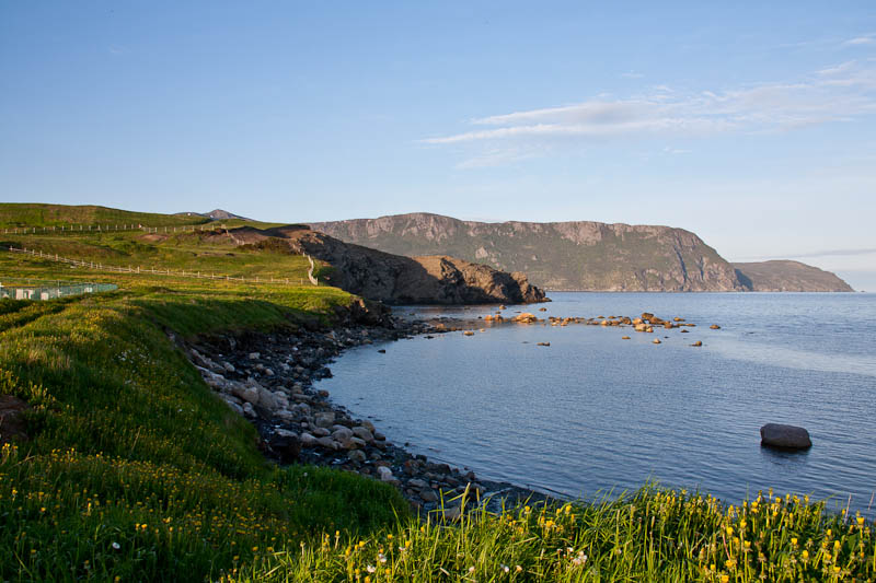 Newfoundland No-0780.jpg